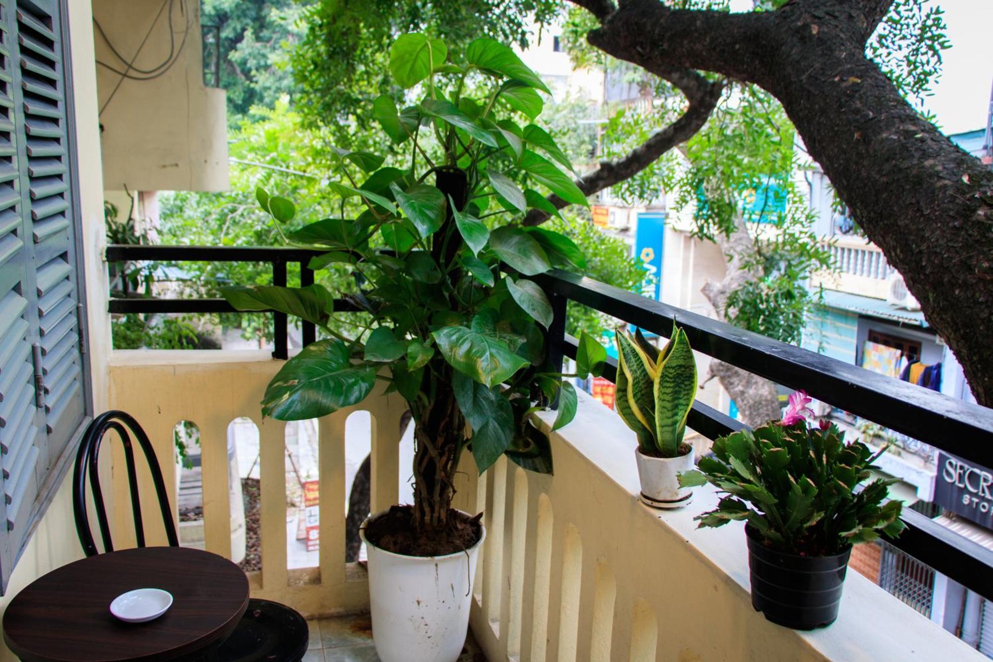 Hanoi Family Homestay Exteriér fotografie