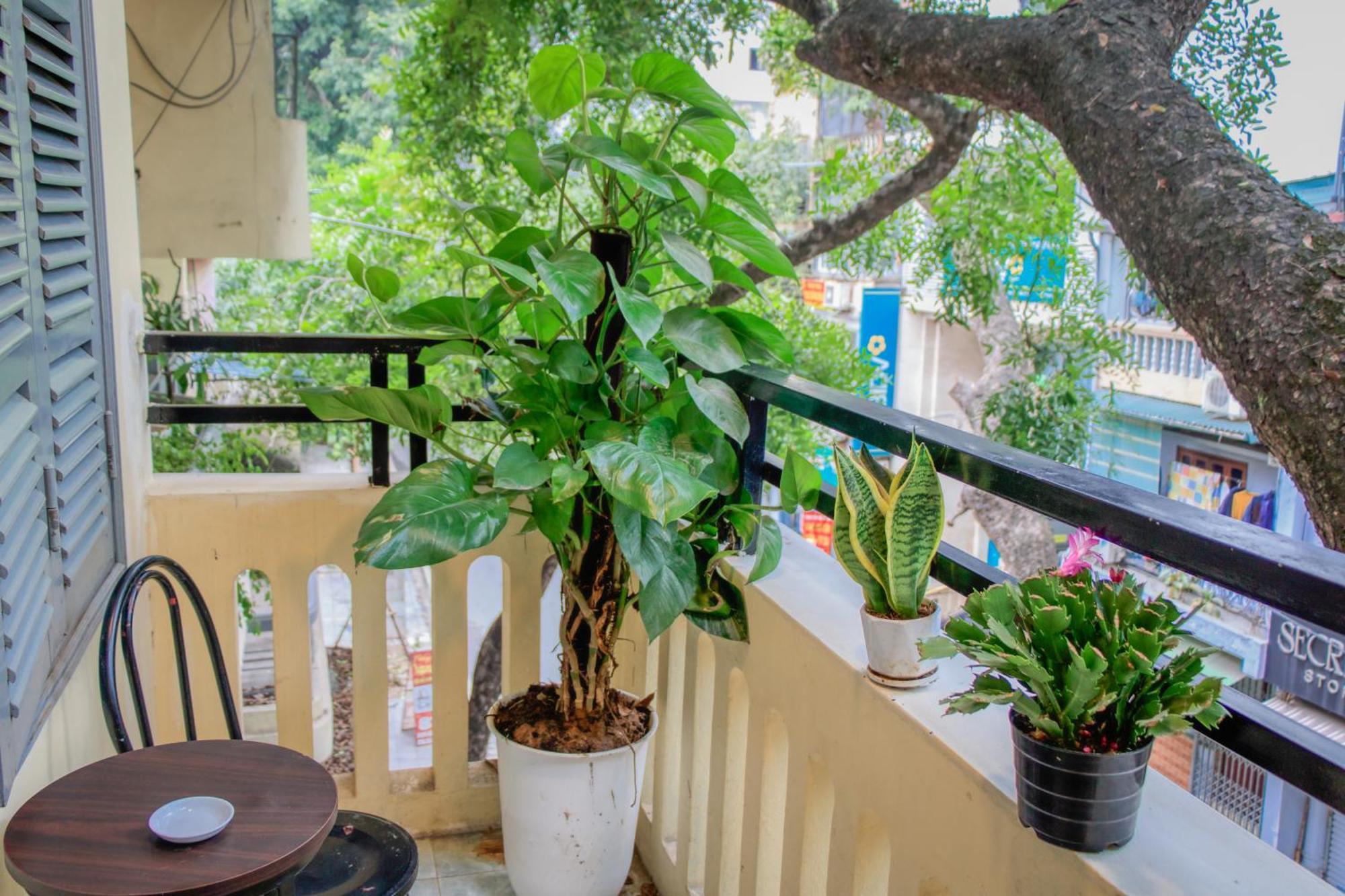 Hanoi Family Homestay Exteriér fotografie