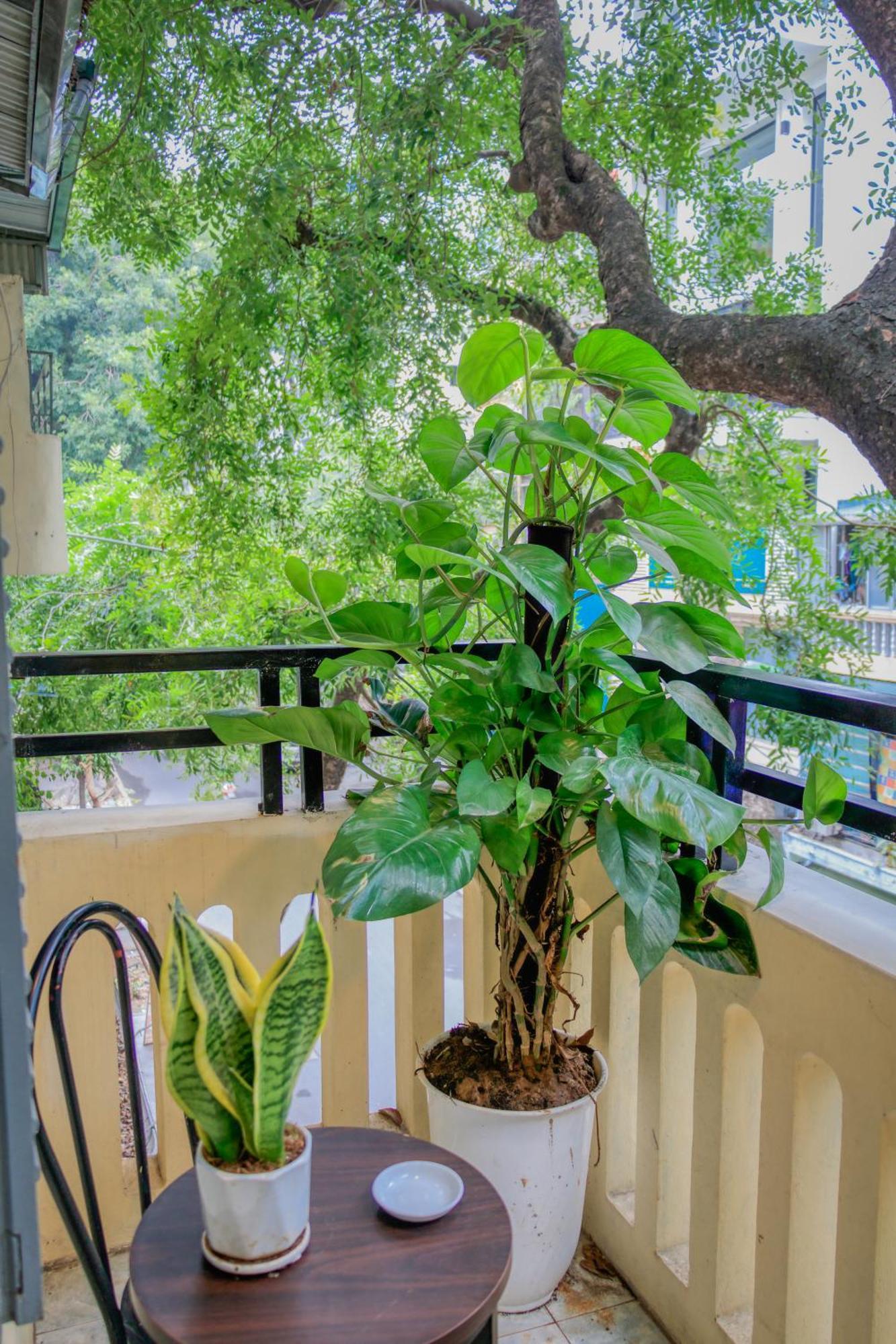 Hanoi Family Homestay Exteriér fotografie